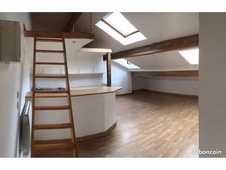 studio loft 51m2 cœur des pentes proche terreaux