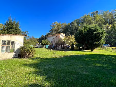 maison avec grand terrain