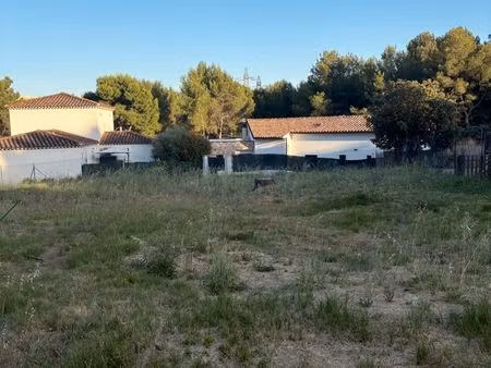 terrain constructible