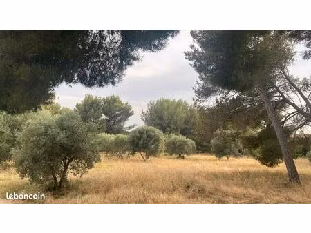 terrain 519 m² saint-chamas