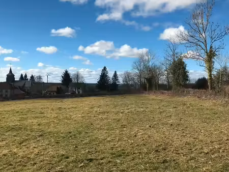 terrain 7461 m2 dont 1050 m2 constructibles cisternes-la-foret 63740