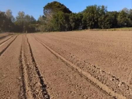 terrain de loisirs
