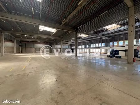 local logistique 3 687 m²