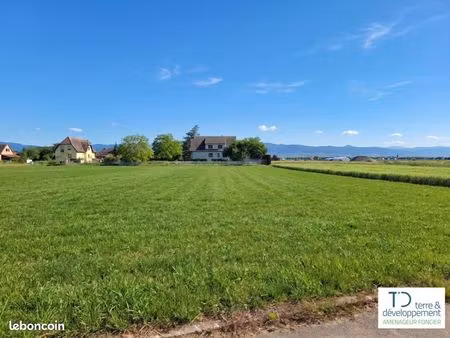 terrain 349 m² niederhergheim