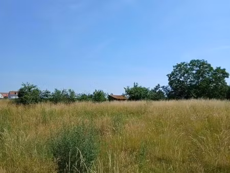 maison 3 pièces 75 m²