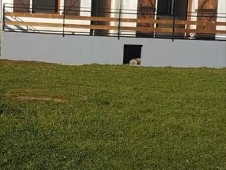 immobilier maison