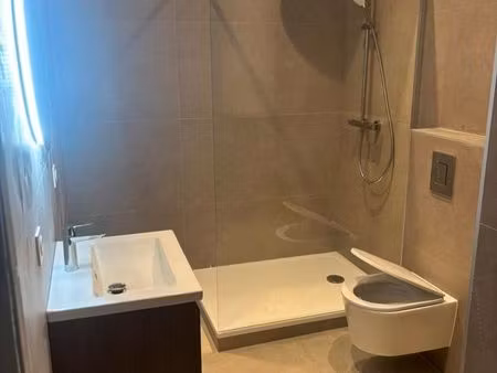 appartement entièrement rénové à louer – disponible mi-juillet 2026