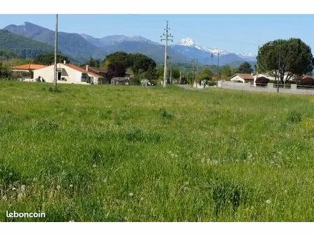 terrain constructible