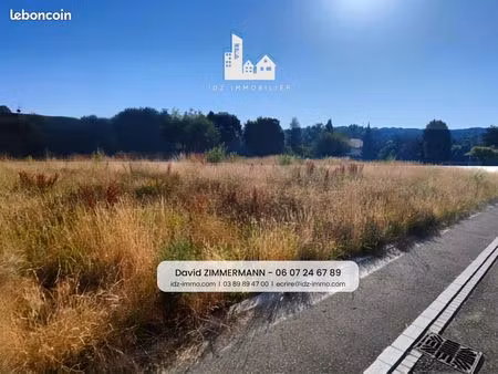 terrain 1609 m² hagenthal-le-bas