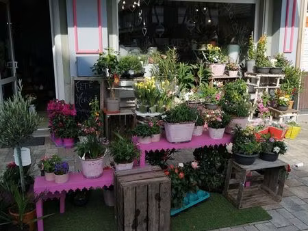 a vendre : fond de commerce de fleurs- ostwald (67540)