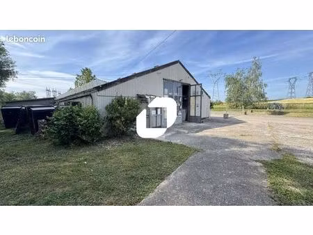 local d'activité 491 m²