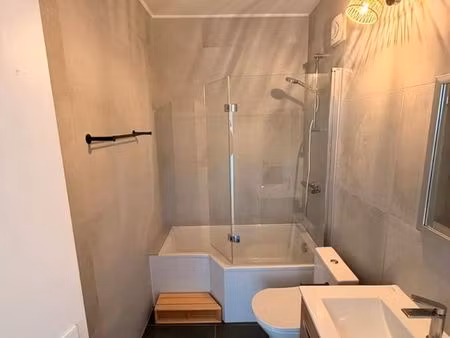 a louer - appartement t2 rénové de 38.23m2 à colmar - vue sur vignoble