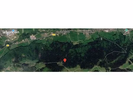 terrain bois 5605 m2 bernex (74500) – faire offre