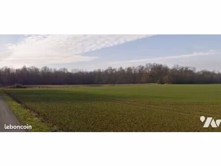 terrain 134211 m² fontenay tresigny