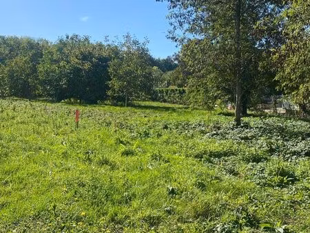 terrain 798m2