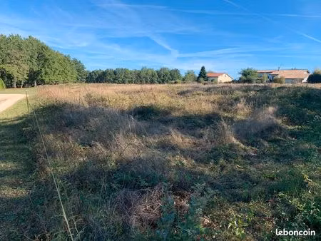 terrain constructible