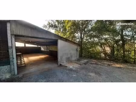 local commercial