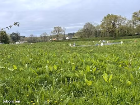 terrain 506 m² bourneau