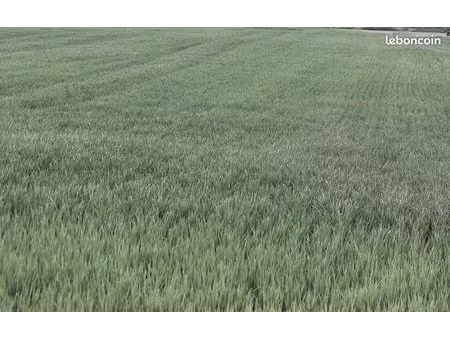 terrain agricole 25 445 m² dange saint romain