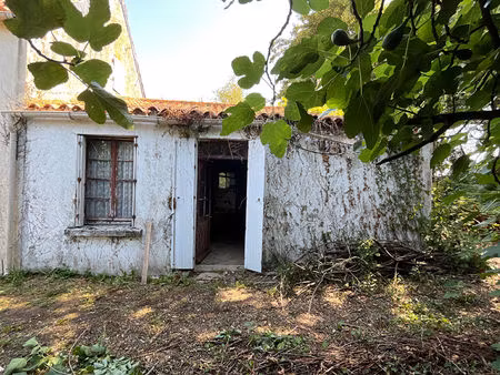 maison à rénover - saint christophe du ligneron 3 pièces 53 m2 - terrain 1090m²