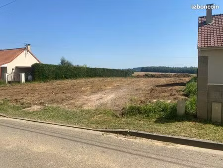 terrain viabilisé