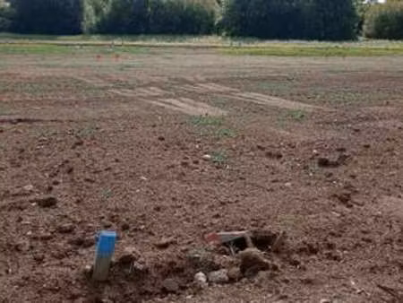 vente terrain à landeronde (85150) : à vendre / landeronde