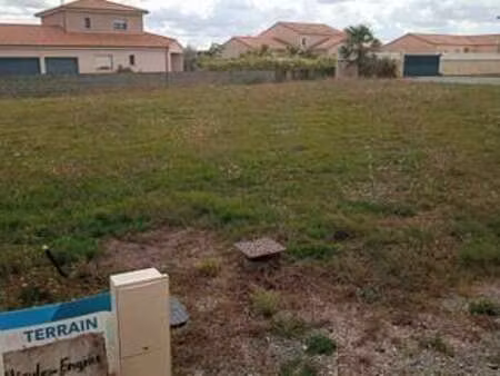 vente terrain à saint-prouant (85110) : à vendre / saint-prouant
