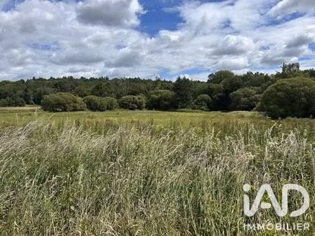 terrain à coetlogon (22210)