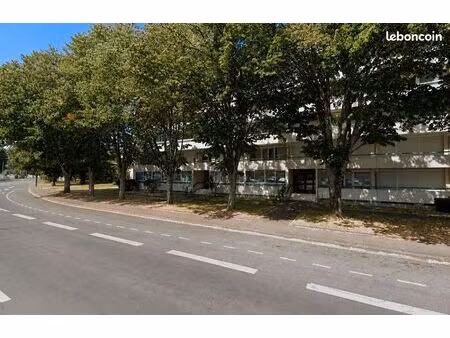 studio 1 pièce 39 m²