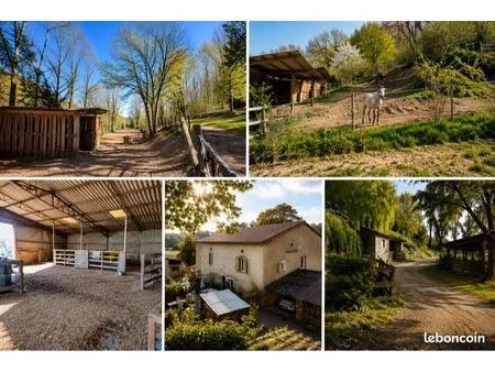 propriété avec maison  gîte  dépendances avec 9000 m2 de terrains