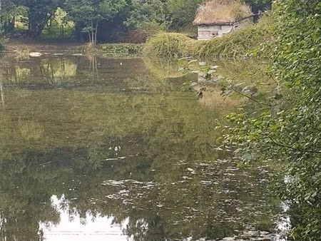étang ou parc de loisirs