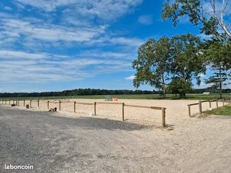 ecuries 8 ou 12 boxes chevaux + 2 ha de pré