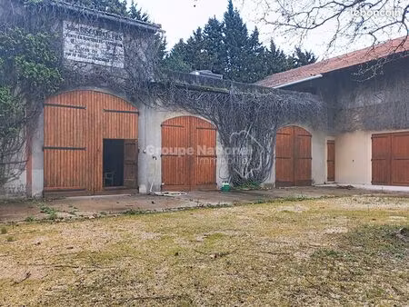 local 950 m² jonquieres