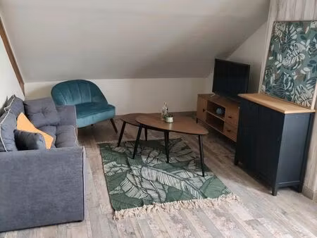 joli f2 de 48m2 meublé