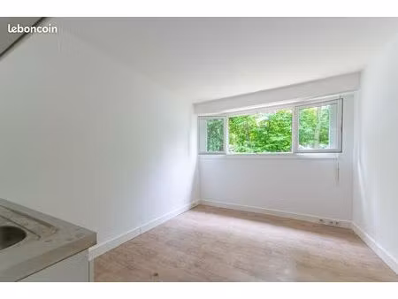 appartement 1 pièce 19 m²