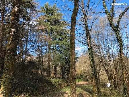 terrain de loisirs arboré de 9355 m² à deux pas du lac de saint-vincent-sur-graon
