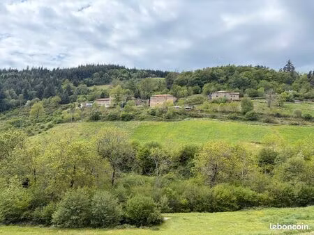 proximité satillieu   superbe domaine de caractère sur environ 16 ha de terrain