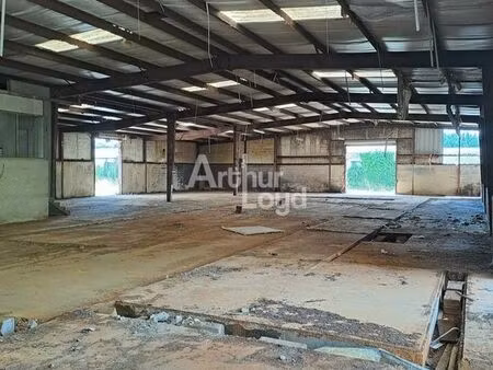 entrepot - logistique 1000 m² naintre