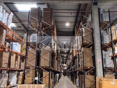 local logistique 1 242 m²
