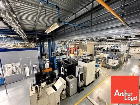 local d'activite 8252 m² chatellerault