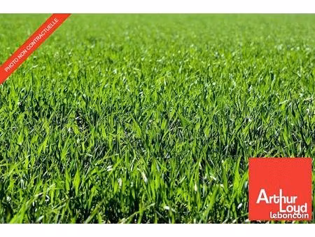 terrain 4999 m² thure