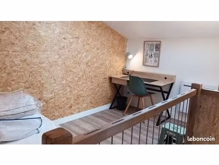 duplex de charme axe cv facs chu camille guérin