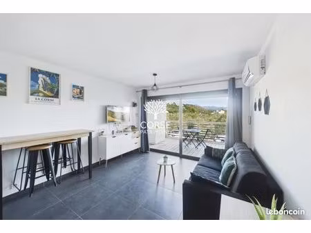 studio 1 pièce 27 m²