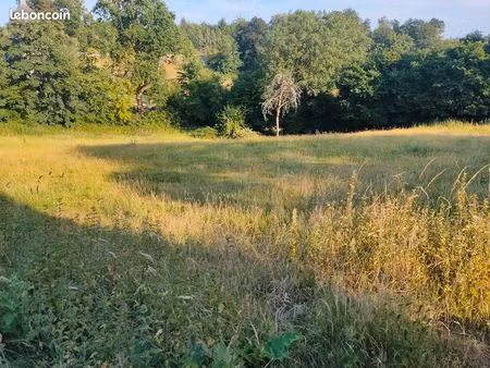 terrain herbage