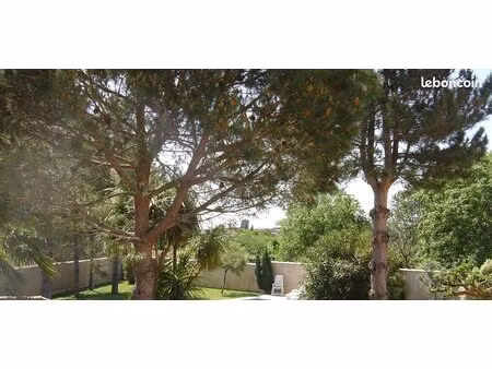 maison en pierre rénovée dans le minervois ( 11 ) 1.5 hectare