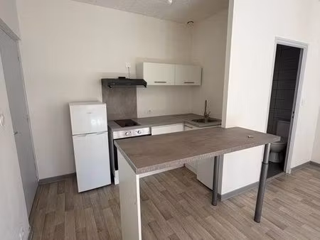 grand appartement refait à neuf studio