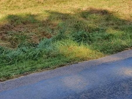 vends terrain à bâtir viabilisé chaource