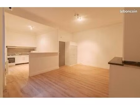 t2 54m2 au pied du pont vieux