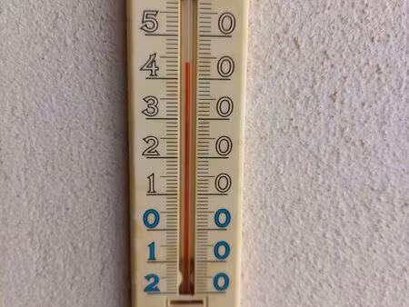 recherche location 1 chambre
