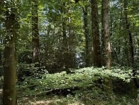 local divers 14560 m² orbec